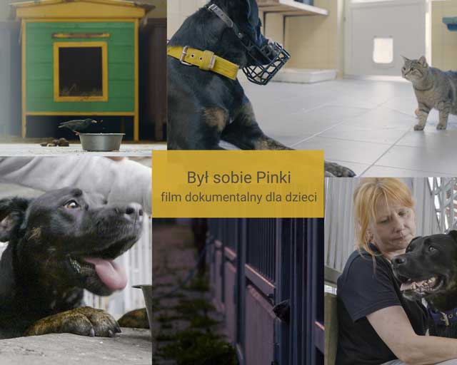 Kolaż zdjęć z bohaterami filmu - pies Pinki i wolontariuszka ze schroniska